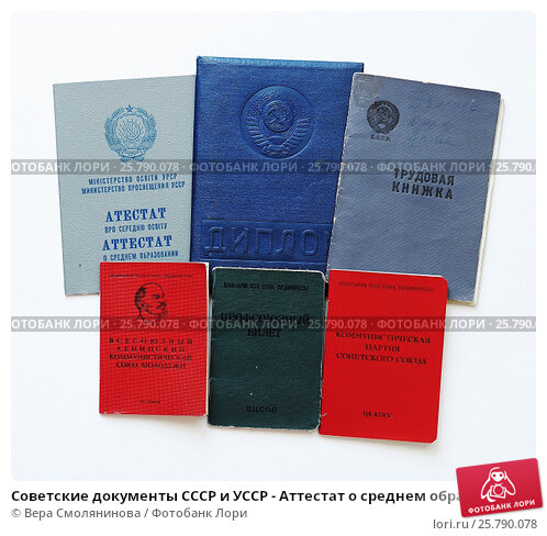 Как правильно составить и написать полное руководство 928365423